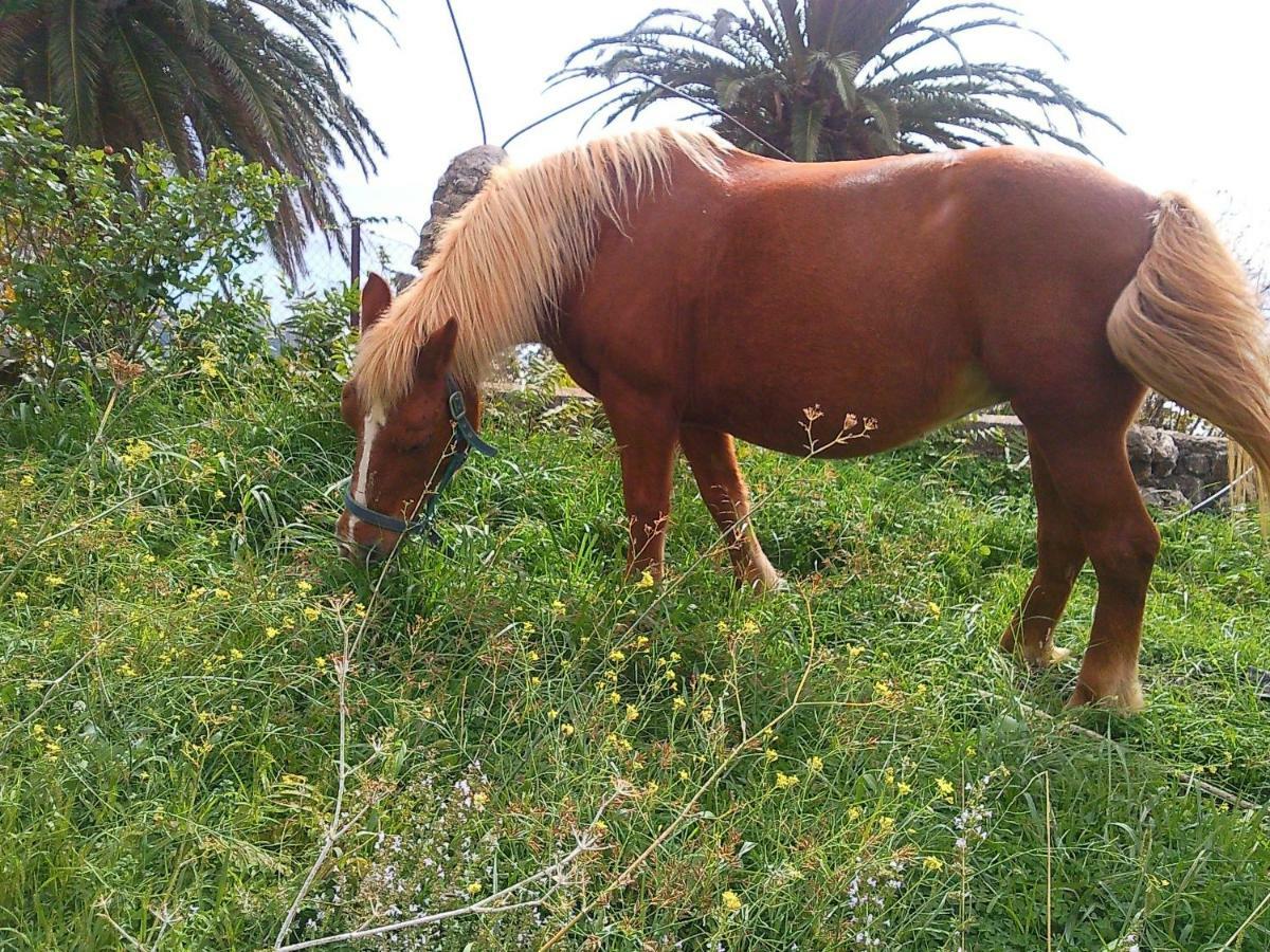 Azienda Agrituristica Le Terre Di San Leonardo เชตราโร ภายนอก รูปภาพ